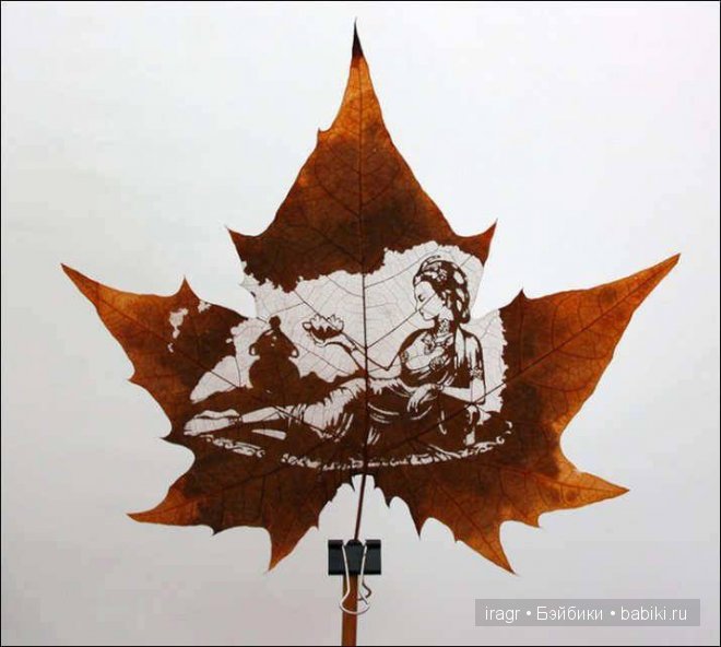 Рисунки на листьях клёна — Интересное и необычное: фотоподборки