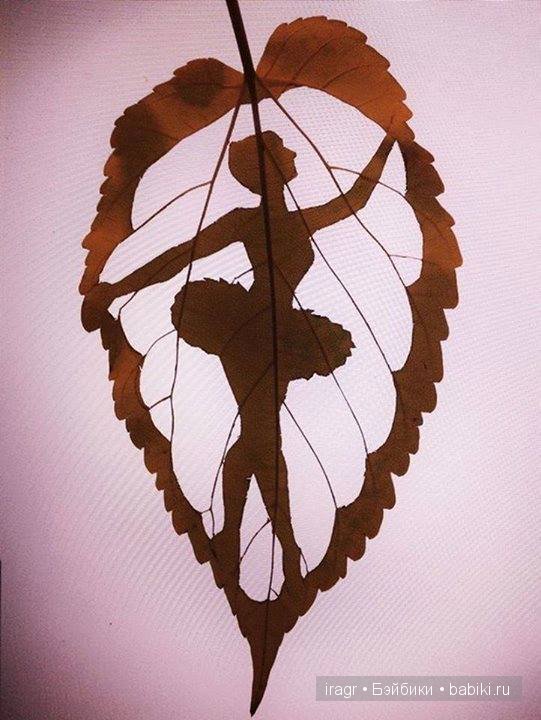 Рисунки на листьях клёна — Интересное и необычное: фотоподборки (фото 9)