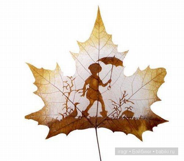 Рисунки на листьях клёна — Интересное и необычное: фотоподборки
