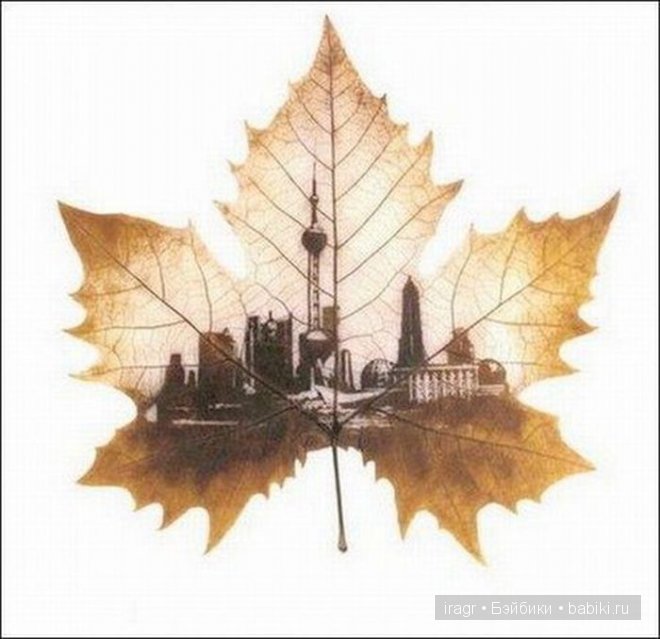 Рисунки на листьях клёна — Интересное и необычное: фотоподборки (фото 4)