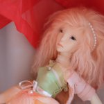 Июльская роза -Lillycat Constantine