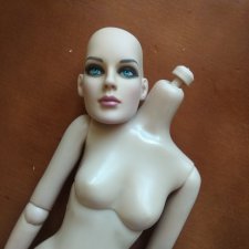 Тонировка виниловой головы Прекариос Тоннера