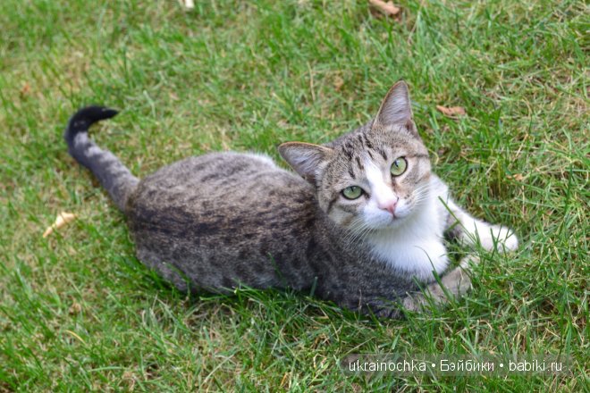 О чем улыбается Ундина, маленькая девочка от Zwergnase