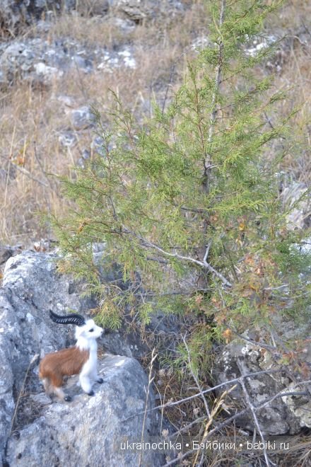 Майке от Zwergnase и её магический мак