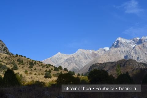 Майке от Zwergnase и её магический мак