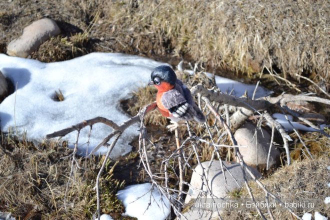 Гречишный мёд - моя Маркета от Zwergnase