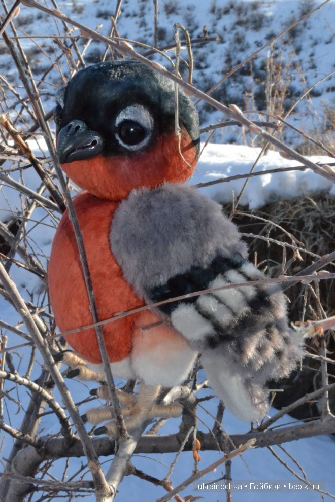 Гречишный мёд - моя Маркета от Zwergnase