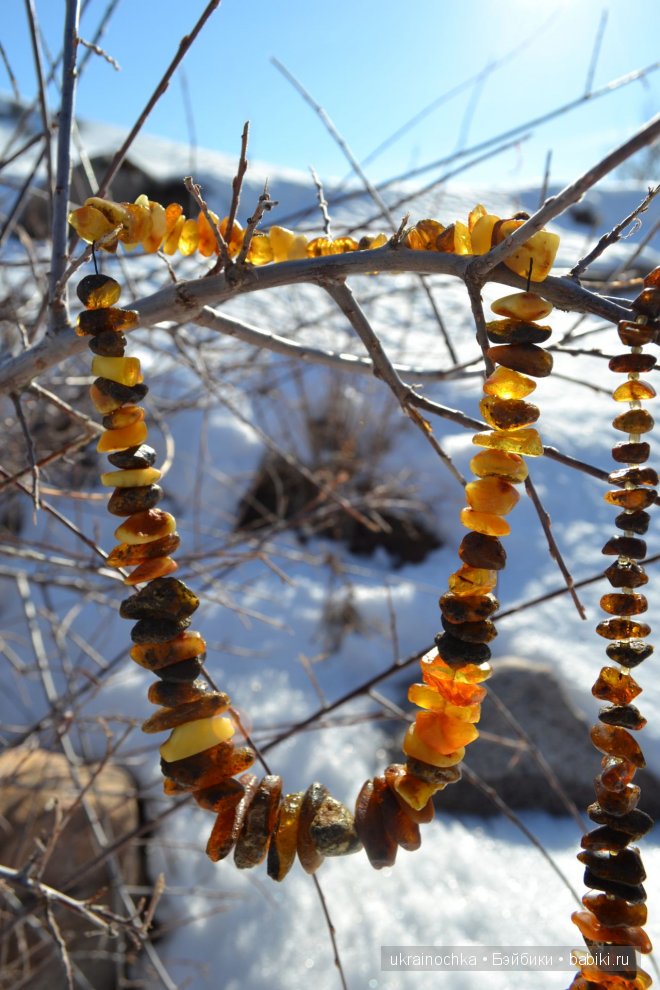 Гречишный мёд - моя Маркета от Zwergnase