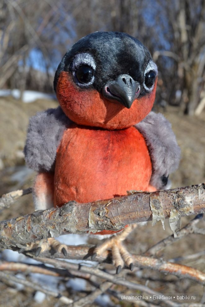 Гречишный мёд - моя Маркета от Zwergnase