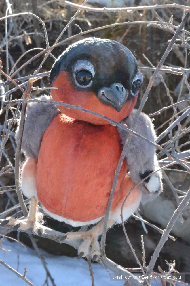 Гречишный мёд - моя Маркета от Zwergnase