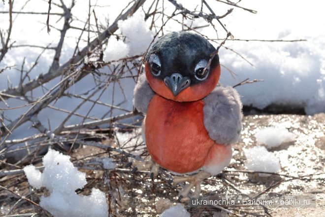 Гречишный мёд - моя Маркета от Zwergnase