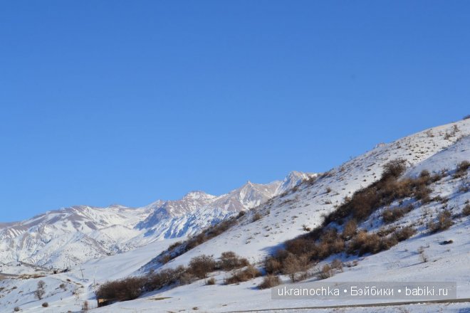 Гречишный мёд - моя Маркета от Zwergnase (фото 6)