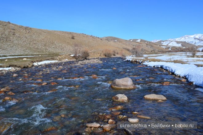 Гречишный мёд - моя Маркета от Zwergnase (фото 7)