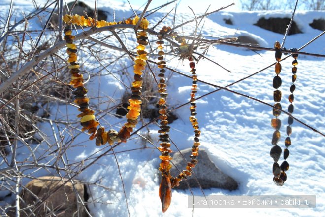 Гречишный мёд - моя Маркета от Zwergnase