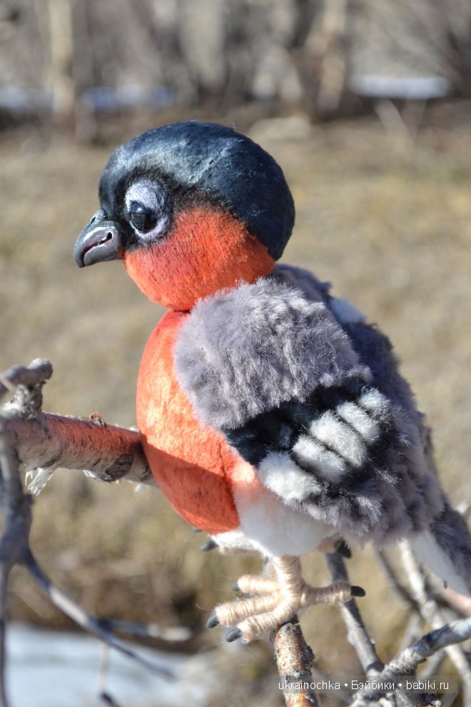 Гречишный мёд - моя Маркета от Zwergnase