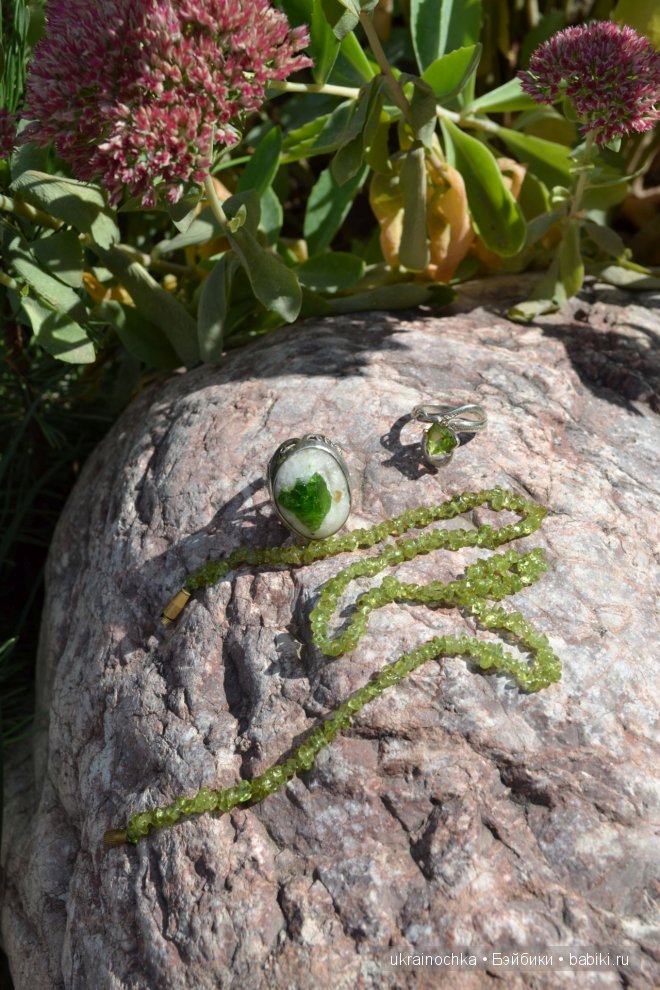 Мелисса-лимонная мята или Здравствуй Аккелин от Zwergnase