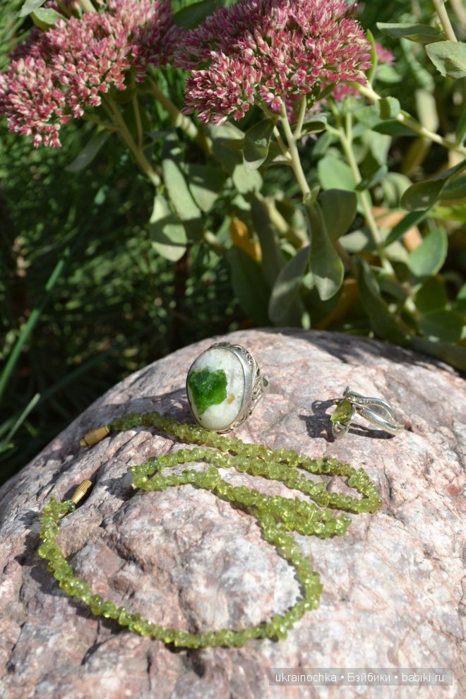 Мелисса-лимонная мята или Здравствуй Аккелин от Zwergnase