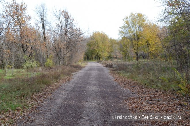 Аллегра от Zwergnase - моё осеннее адажио (фото 2)