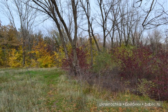 Аллегра от Zwergnase - моё осеннее адажио
