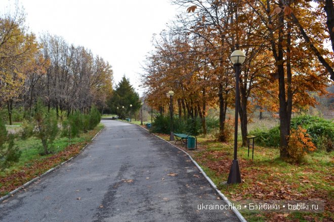 Аллегра от Zwergnase