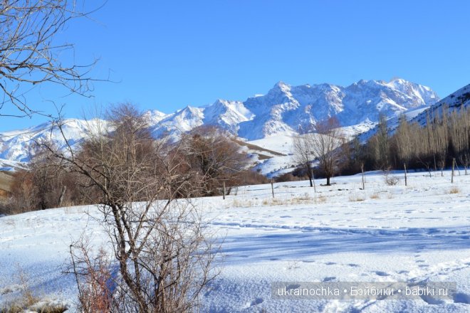 Мишелин Zwergnase - моё зимнее солнышко