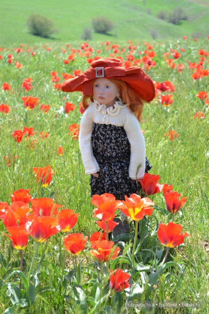 Веерле из рода Zwergnase - Королева тюльпанов