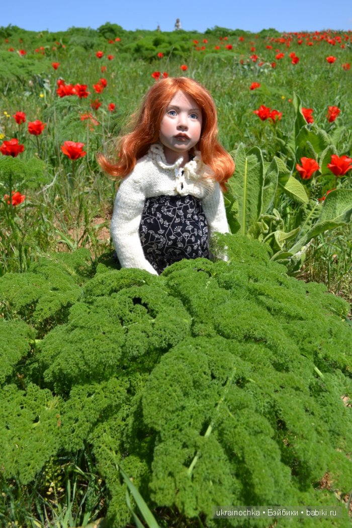 Веерле из рода Zwergnase - Королева тюльпанов