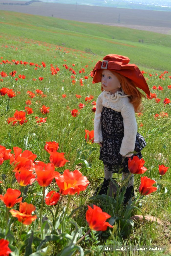 Веерле из рода Zwergnase - Королева тюльпанов