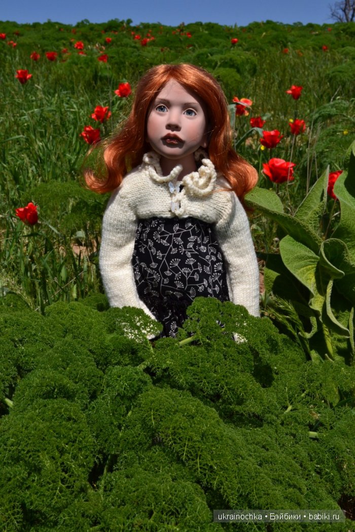 Веерле из рода Zwergnase - Королева тюльпанов