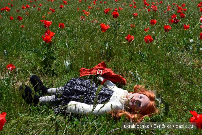 Веерле из рода Zwergnase - Королева тюльпанов