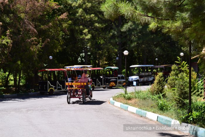 Аноук-Мила Zwergnase: Шалкау? Нет, Шымкент