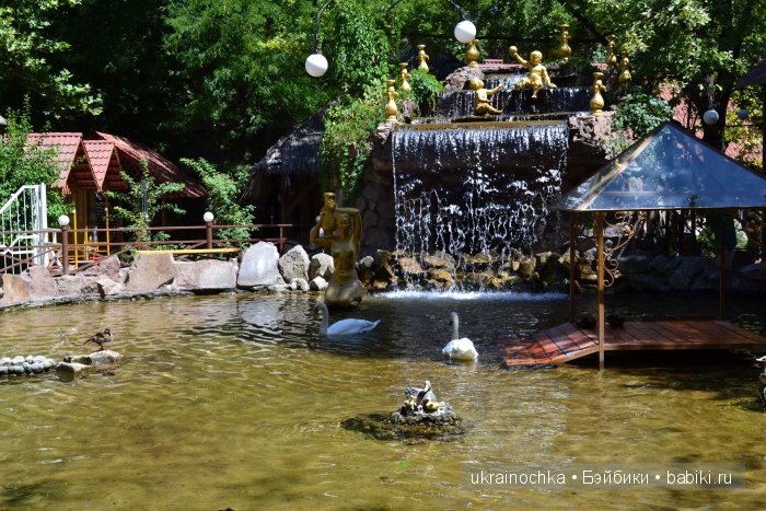 Аноук-Мила Zwergnase: Шалкау? Нет, Шымкент