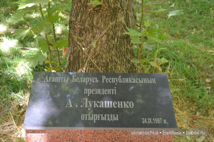 Аноук-Мила Zwergnase: Шалкау? Нет, Шымкент