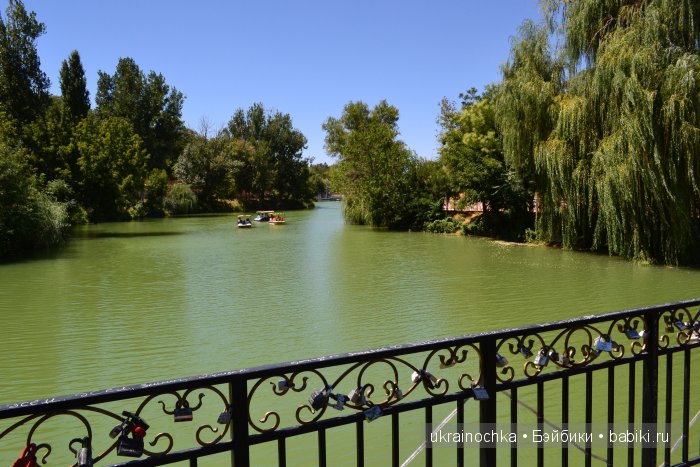 Аноук-Мила Zwergnase: Шалкау? Нет, Шымкент