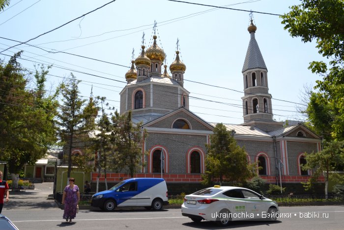 Аноук-Мила Zwergnase: Шалкау? Нет, Шымкент