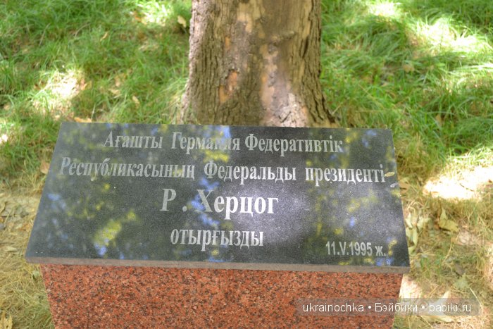 Аноук-Мила Zwergnase: Шалкау? Нет, Шымкент