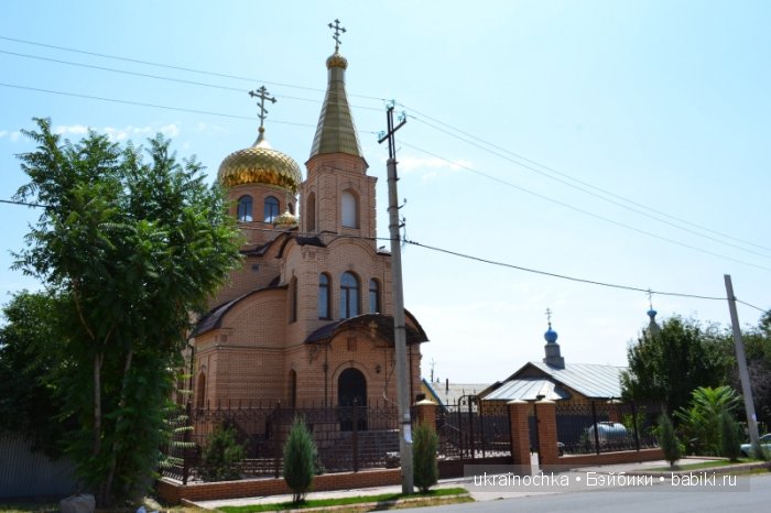 Аноук-Мила Zwergnase: Шалкау? Нет, Шымкент