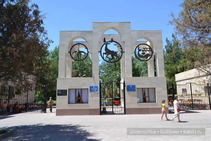 Аноук-Мила Zwergnase: Шалкау? Нет, Шымкент