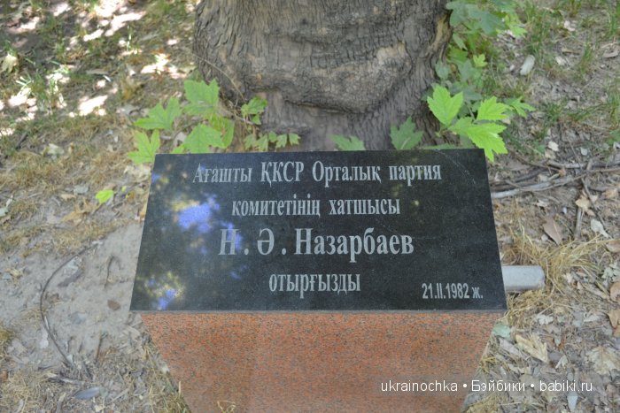 Аноук-Мила Zwergnase: Шалкау? Нет, Шымкент