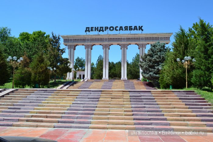 Аноук-Мила Zwergnase: Шалкау? Нет, Шымкент