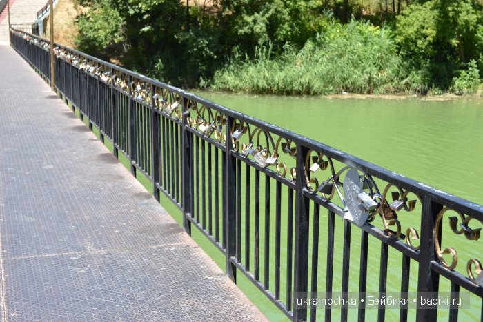 Аноук-Мила Zwergnase: Шалкау? Нет, Шымкент