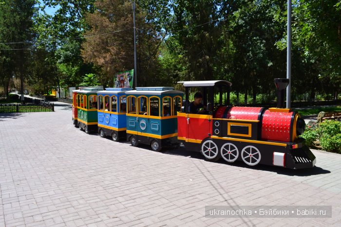 Аноук-Мила Zwergnase: Шалкау? Нет, Шымкент