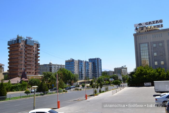 Аноук-Мила Zwergnase: Шалкау? Нет, Шымкент