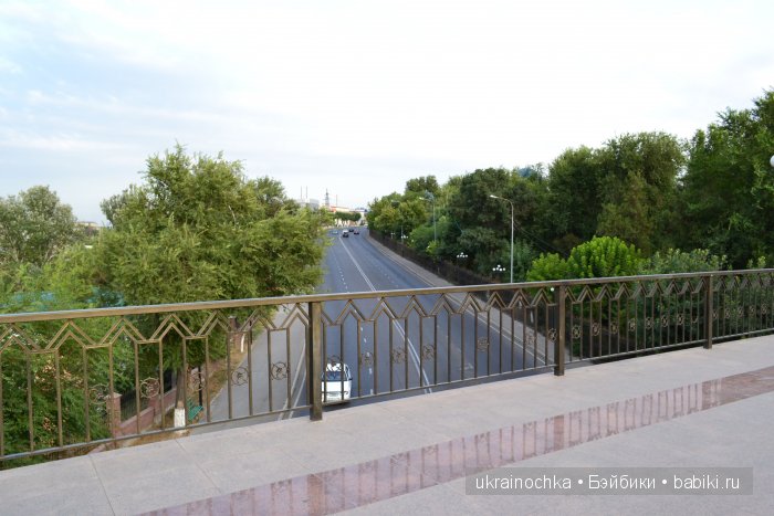 Аноук-Мила Zwergnase: Шалкау? Нет, Шымкент