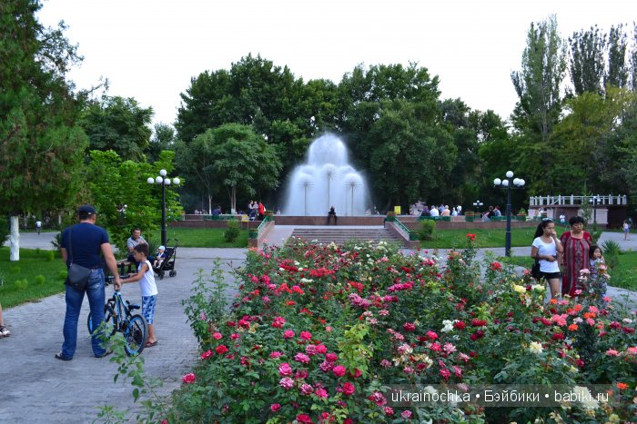 Аноук-Мила Zwergnase: Шалкау? Нет, Шымкент