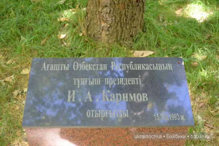 Аноук-Мила Zwergnase: Шалкау? Нет, Шымкент