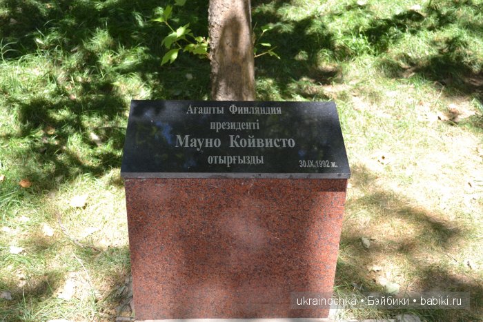 Аноук-Мила Zwergnase: Шалкау? Нет, Шымкент