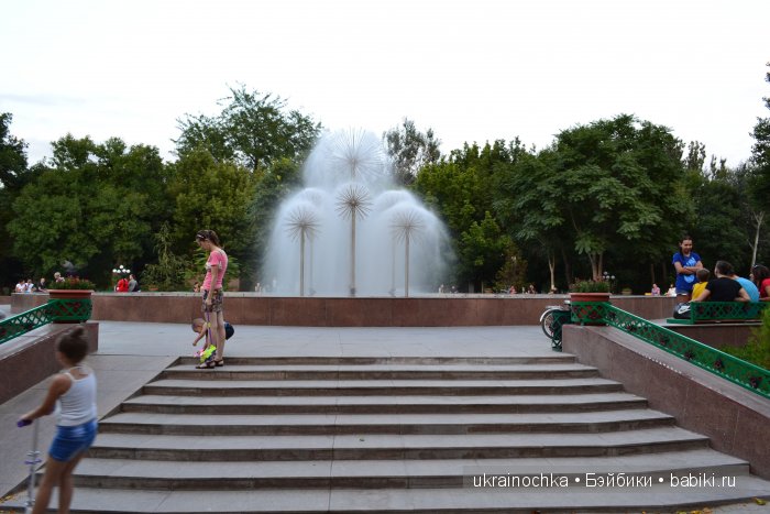 Аноук-Мила Zwergnase: Шалкау? Нет, Шымкент