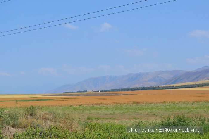Песня души моей - Ламберта Zwergnase (фото 3)