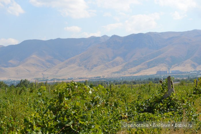 Песня души моей - Ламберта Zwergnase (фото 5)